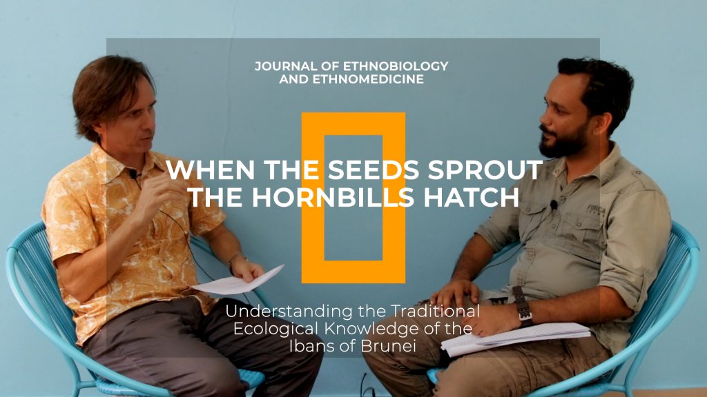 You are currently viewing Interview with Merlin Franco on Hornbill Research
