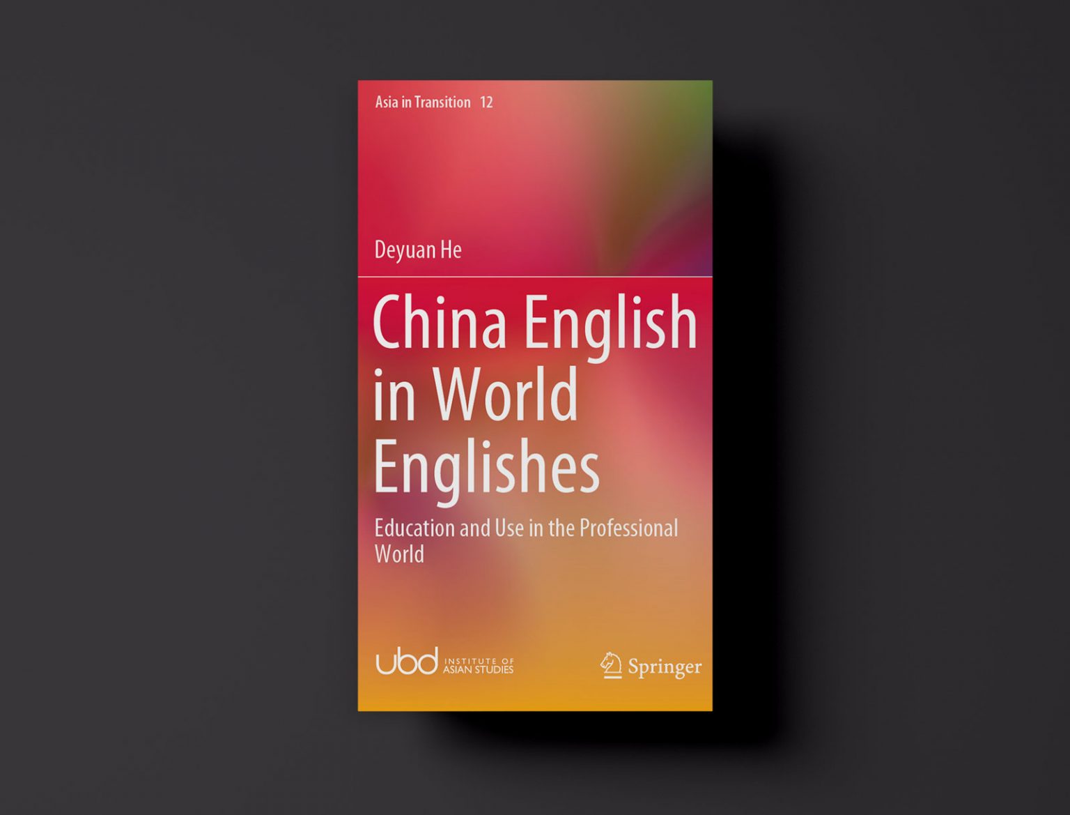 Read more about the article New IAS/Springer ‘Asia In Transition’ Volume on China English in World Englishes