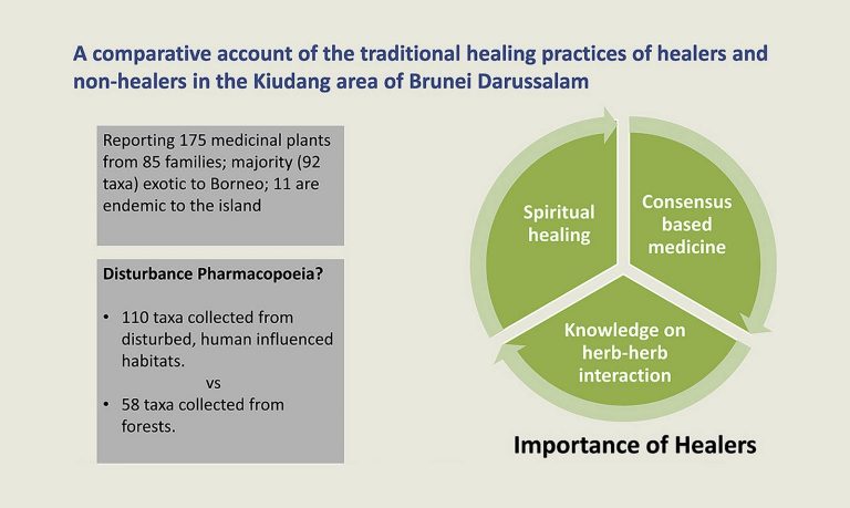 Read more about the article New Article on Traditional Healers and Medicinal Plants in Brunei